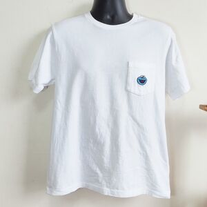 Uniqlo x Kaws Cookie Monster